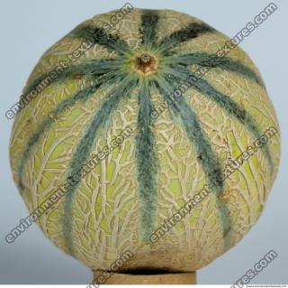 Melon Galia 0018